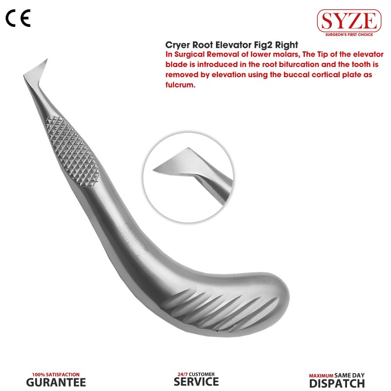 Cryer Root Elevator Right Fig 2