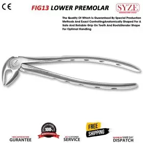 Fig 13 Incisors & Lower Premolars Whole Handle