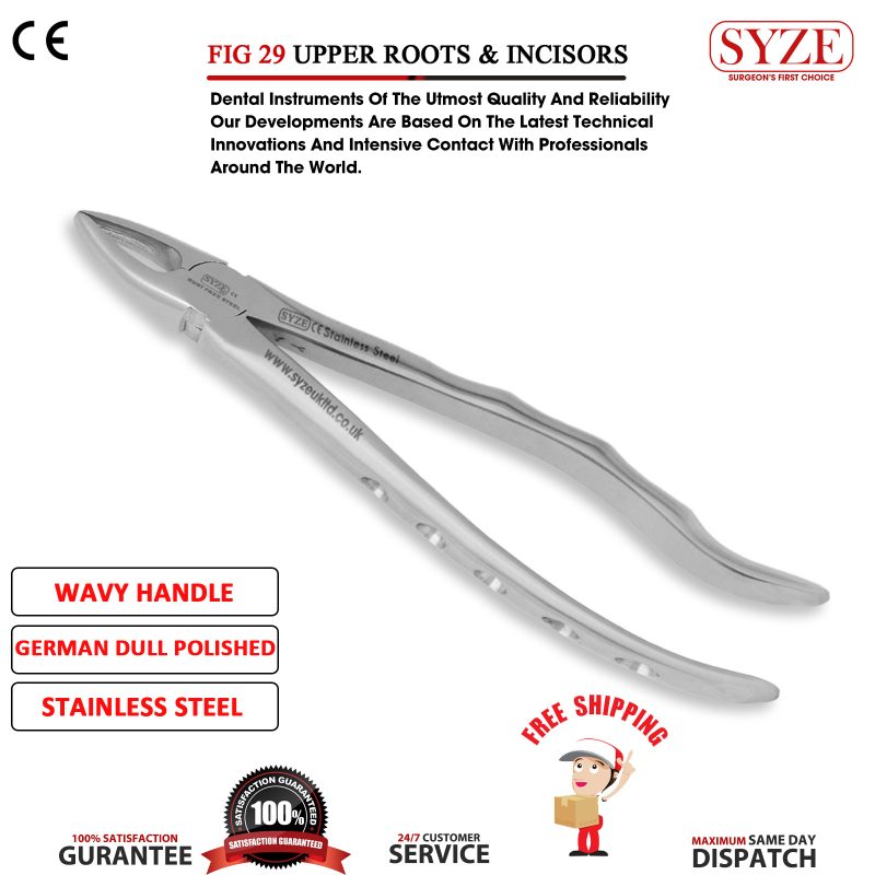 Fig 29 Upper Roots & Incisors