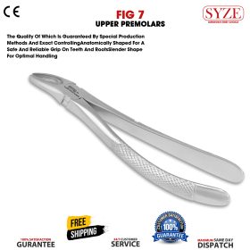 Fig 7 Upper Premolars