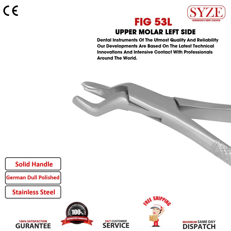 Fig 53L Upper Molars Left Side