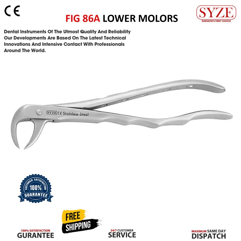Fig 86A Lower Molars