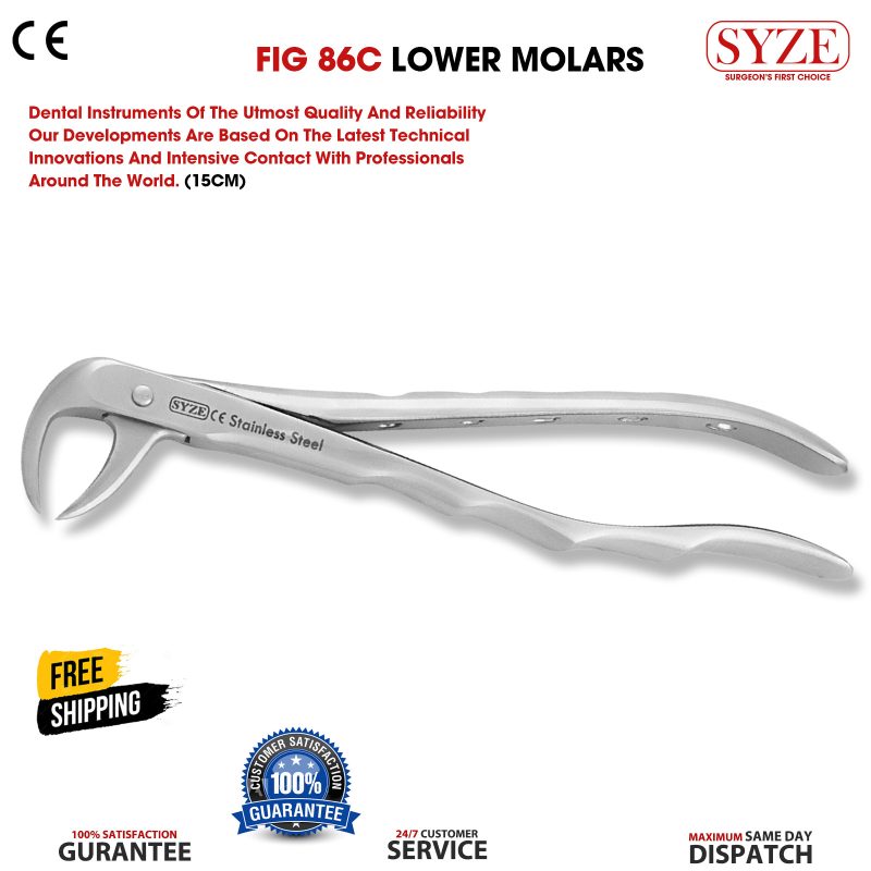 Fig 86C Lower Molars