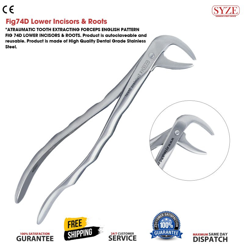 Fig 74D Lower Incisors & Roots