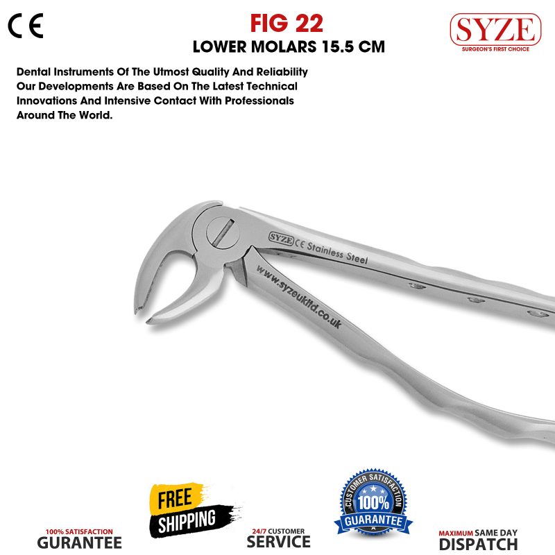 Fig 22 Lower Molars