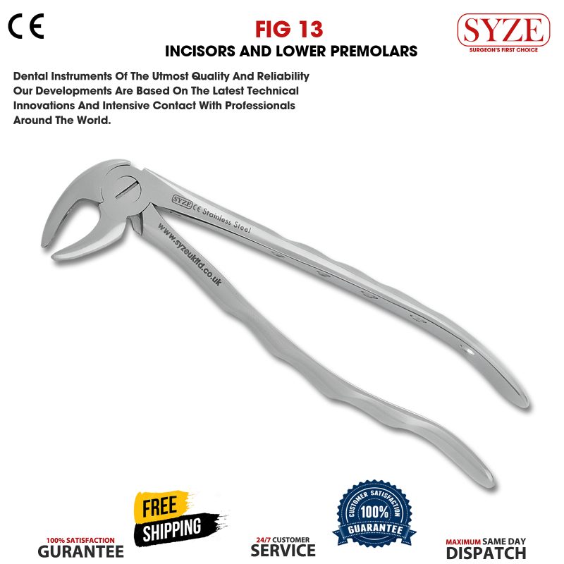 Fig 13 Incisors and Lower Premolars