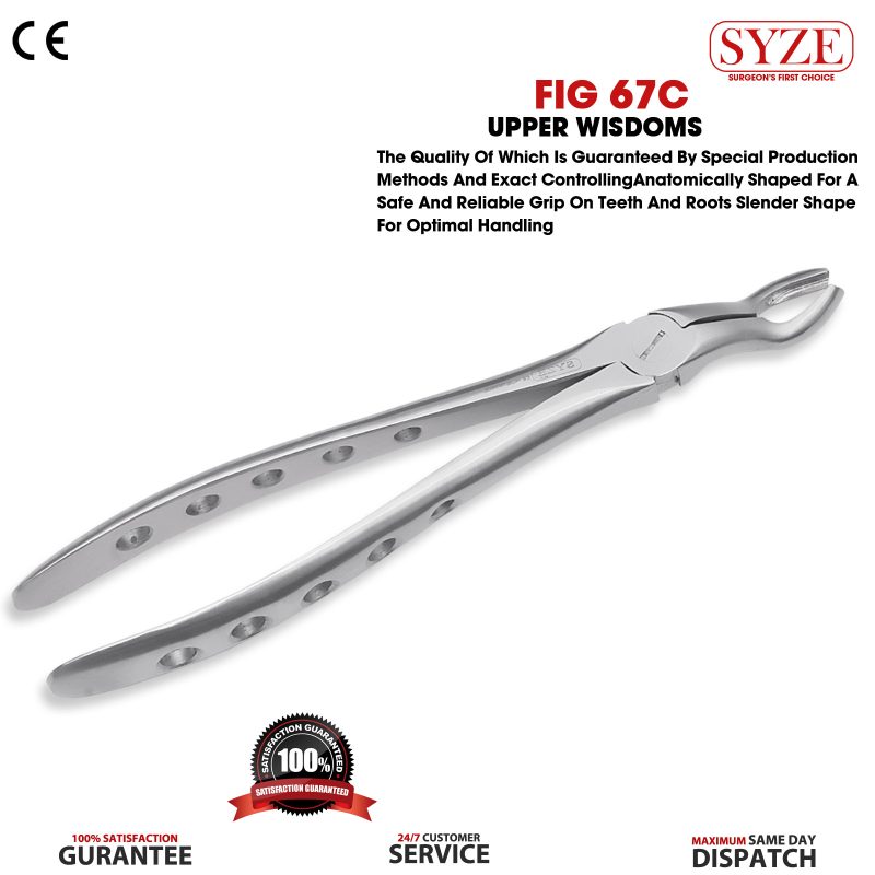 Fig 67C Upper Wisdoms Whole Handle