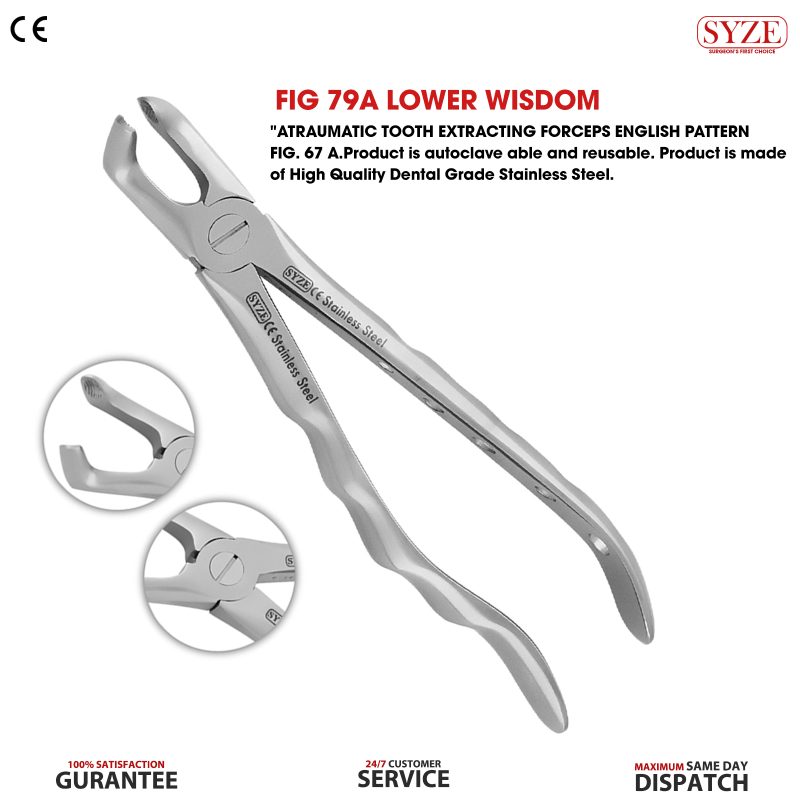 Fig 79A Lower Wisdoms