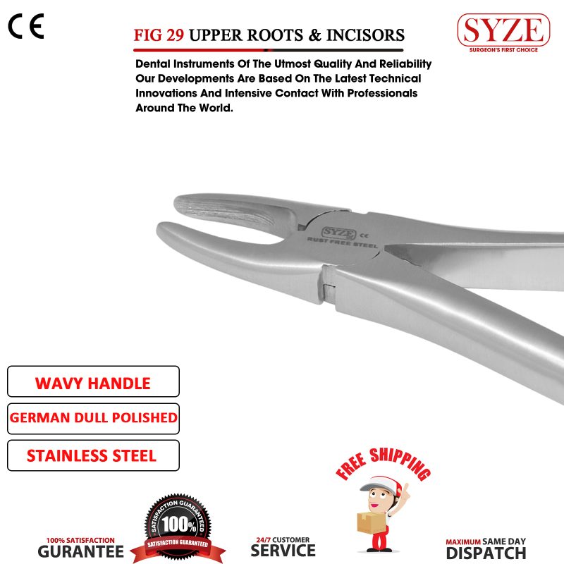 Fig 29 Upper Roots & Incisors