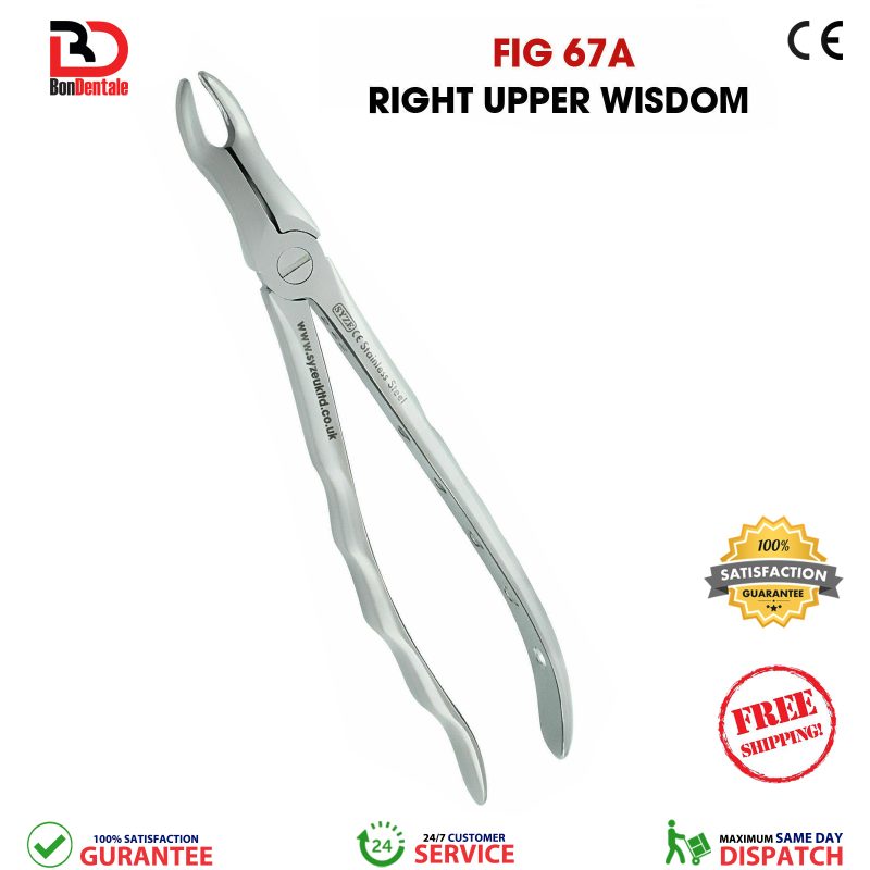 Fig. 67A Right Upper Wisdom