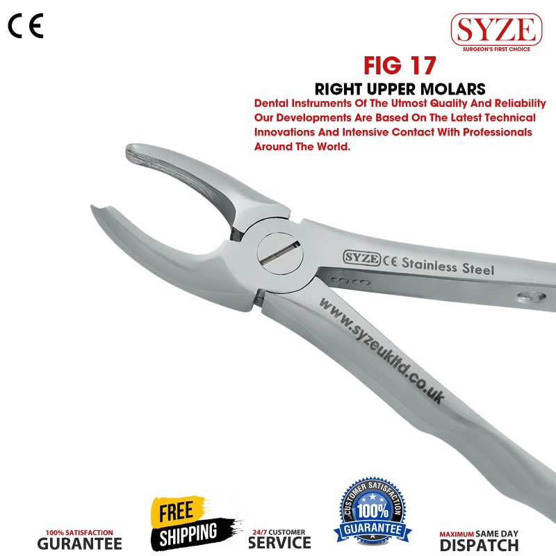 Fig 17 Right Upper Molars