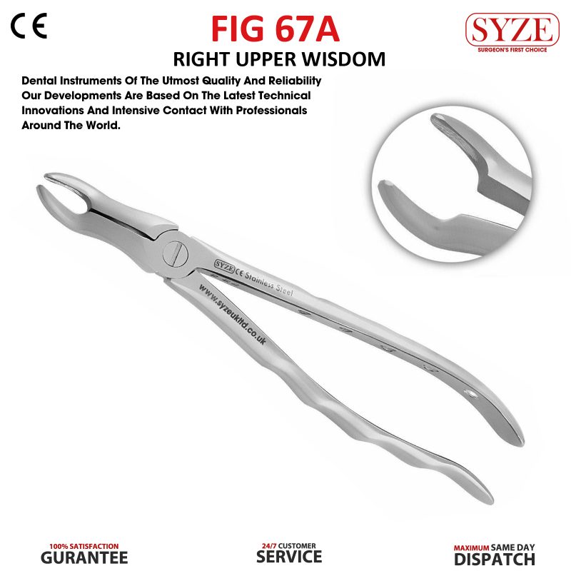 Fig. 67A Right Upper Wisdom